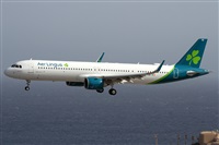 Alfonso Sols - Asociacin Canary Islands Spotting. Haz click para ampliar