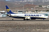 Alfonso Sols - Asociacin Canary Islands Spotting. Click to see full size photo