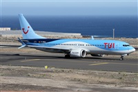 ©Alfonso Solís - Asociación Canary Islands Spotting. Click to see full size photo ©Alfonso Solís - Asociación Canary Islands Spotting. Click to see full size photo