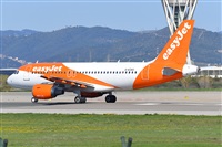 Miguel A. gueda Rguez.  (CANARY ISLANDS SPOTTING). Click to see full size photo