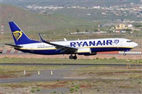 Miguel A. gueda Rguez.  (CANARY ISLANDS SPOTTING). Click to see full size photo