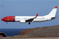 ©Alfonso Solís - Asociación Canary Islands Spotting. Click to see full size photo ©Alfonso Solís - Asociación Canary Islands Spotting. Click to see full size photo