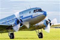 Tams. Click to see full size photo