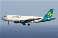 ©Alfonso Solís - Asociación Canary Islands Spotting. Click to see full size photo ©Alfonso Solís - Asociación Canary Islands Spotting. Click to see full size photo