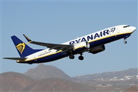 ©Alfonso Solís - Asociación Canary Islands Spotting. Click to see full size photo ©Alfonso Solís - Asociación Canary Islands Spotting. Click to see full size photo