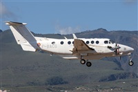 ©Adolfo Bento - Gran Canaria Spotters. Click to see full size photo ©Adolfo Bento - Gran Canaria Spotters. Click to see full size photo