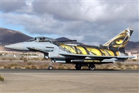 �Manuel Fernandez. Click to see full size photo