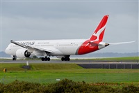 �Miguel A. �gueda Rguez.  (CANARY ISLANDS SPOTTING). Click to see full size photo