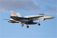 �Vicente Aguil�. Click to see full size photo