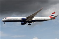 �Alfonso Sol�s - Asociaci�n Canary Islands Spotting. Click to see full size photo
