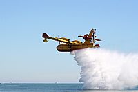 Miguel A. Snchez. Click to see full size photo
