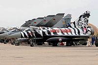 ©Antonio Zamora - La Mancha Spotters. Click to see full size photo ©Antonio Zamora - La Mancha Spotters. Click to see full size photo