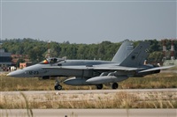 Galo Alcolea - Iberian Spotter / AIRE.ORG. Click to see full size photo