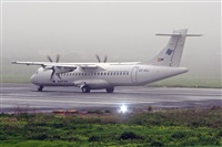 ©La Roche Spotters. Click to see full size photo ©La Roche Spotters. Click to see full size photo