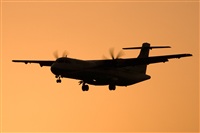 Javier de la Cruz - CANARY ISLANDS SPOTTING. Click to see full size photo