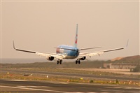 Javier de la Cruz - CANARY ISLANDS SPOTTING. Click to see full size photo