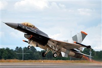 Aset Anton. Click to see full size photo