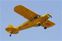 Jos Miguel Bernases - Noisy Spotters. Click to see full size photo