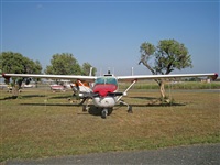 Andrs Arana. Click to see full size photo