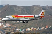 Miguel A. gueda Rguez.  (CANARY ISLANDS SPOTTING). Haz click para ampliar