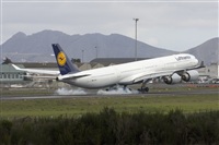 Ayoze Santana Mendez - Canary Islands Spotting. Click to see full size photo