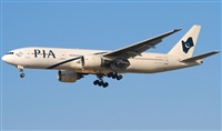 Rubn Gil - Noisy Spotters. Click to see full size photo