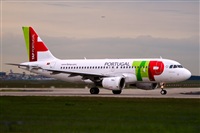 Javier de la Cruz - CANARY ISLANDS SPOTTING. Click to see full size photo