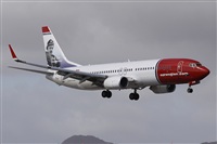 Alfonso Sols - Asociacin Canary Islands Spotting. Click to see full size photo