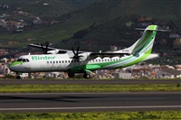 Nacho Rodriguez - Canary Islands Spotting. Click to see full size photo