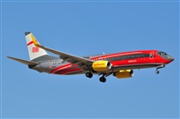 Miguel A. gueda Rguez.  (CANARY ISLANDS SPOTTING). Click to see full size photo