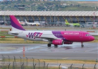 Alejandro Bethencourt (Canary Islands Spotting). Click to see full size photo
