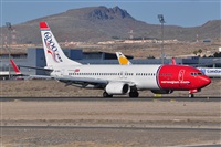 Miguel A. gueda Rguez.  (CANARY ISLANDS SPOTTING). Click to see full size photo