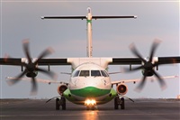 Javier de la Cruz - CANARY ISLANDS SPOTTING. Click to see full size photo