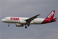 Naoto Goto - South American Spotters Asu-Py. Click to see full size photo