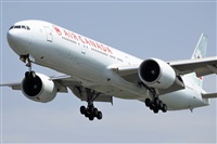 Miguel Martin Cordeiro - Iberian Spotters. Click to see full size photo