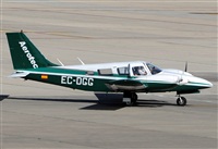 ©Alejandro H.L - Gran Canaria Spotters. Click to see full size photo ©Alejandro H.L - Gran Canaria Spotters. Click to see full size photo