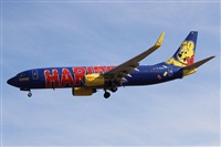 Alfonso Sols - Asociacin Canary Islands Spotting. Click to see full size photo