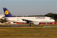 Miguel Alia - Noisy Spotters. Click to see full size photo