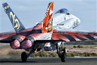 ©Ismael Jorda. Click to see full size photo ©Ismael Jorda. Click to see full size photo