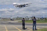 Javier de la Cruz - CANARY ISLANDS SPOTTING. Click to see full size photo