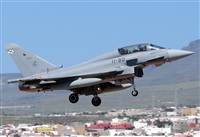 ©Alejandro H.L - Gran Canaria Spotters. Click to see full size photo ©Alejandro H.L - Gran Canaria Spotters. Click to see full size photo