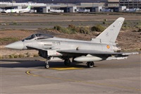 ©Alfonso Solís - Asociación Canary Islands Spotting. Click to see full size photo ©Alfonso Solís - Asociación Canary Islands Spotting. Click to see full size photo