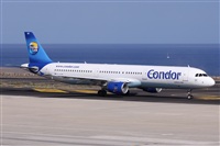 ©Alfonso Solís - Asociación Canary Islands Spotting. Click to see full size photo ©Alfonso Solís - Asociación Canary Islands Spotting. Click to see full size photo
