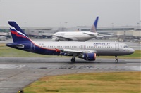 Miguel A. gueda Rguez.  (CANARY ISLANDS SPOTTING). Haz click para ampliar