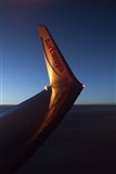Rui Alves - Madeira Spotters. Click to see full size photo