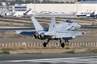 ©Adolfo Bento - Gran Canaria Spotters. Click to see full size photo ©Adolfo Bento - Gran Canaria Spotters. Click to see full size photo