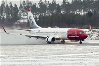 Javier de la Cruz - CANARY ISLANDS SPOTTING. Click to see full size photo