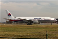 Miguel Alia - Noisy Spotters. Click to see full size photo