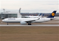 Miguel Alia - Noisy Spotters. Click to see full size photo
