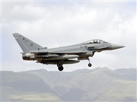 Paco Muoz Arencibia - Gran Canaria Spotters. Click to see full size photo